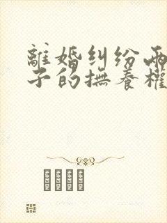 离婚纠纷两个孩子的抚养权如何确定判决封面