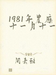 1981年农历十一月十一日出生的命运