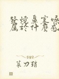 发烧鼻塞嗓子疼属于什么感冒