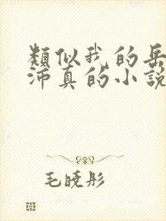 类似我的岳母苏沛真的小说