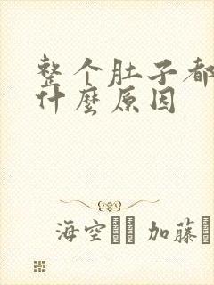 整个肚子都痛是什么原因封面