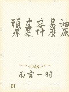 头皮容易油容易痒是什么原因