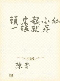 头皮起小红疙瘩一碰就疼