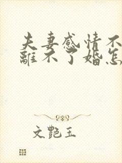 夫妻感情不好又离不了婚怎么办封面