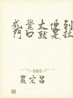 感觉大便到了肛门口就是拉不出来