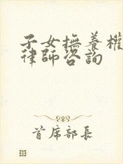 子女抚养权纠纷律师咨询封面