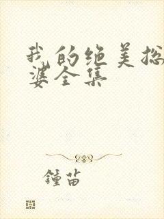 我的绝美总裁老婆全集