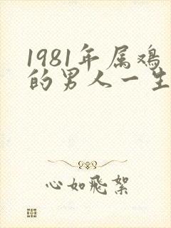 1981年属鸡的男人一生的命运封面