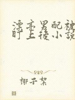 漂亮男配被疯攻盯上后小说全文免费阅读