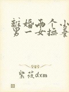 离婚两个小孩一男一女抚养权怎么判定