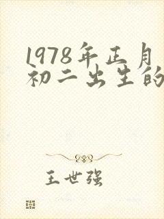 1978年正月初二出生的马命运