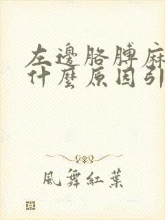 左边胳膊麻木是什么原因引起的封面