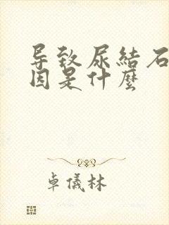 导致尿结石的原因是什么