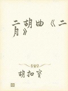 二胡曲《二泉映月》