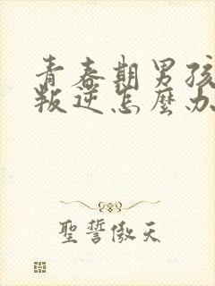 青春期男孩严重叛逆怎么办封面