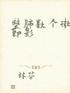 双肺数个微小结节影