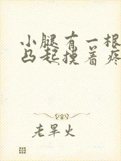 小腿有一根青筋凸起摸着疼