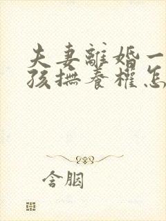 夫妻离婚一个小孩抚养权怎么判