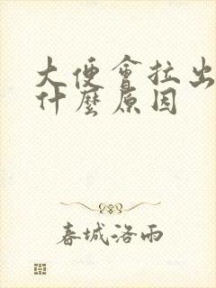 大便会拉出血是什么原因封面