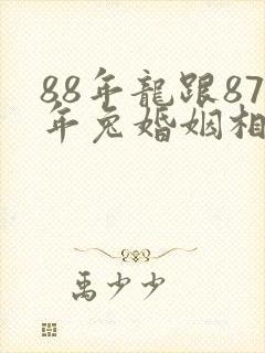 88年龙跟87年兔婚姻相配吗