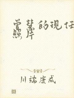 曾慧的现任丈夫照片