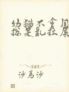 幼猫不会用猫砂总是乱拉屎怎么办