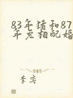 83年猪和87年兔相配婚姻如何