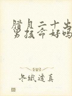 腊月二十出生的男孩命好吗封面