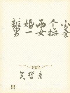 离婚两个小孩一男一女抚养权怎么判定