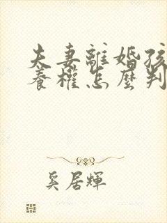 夫妻离婚孩子抚养权怎么判定一个孩子