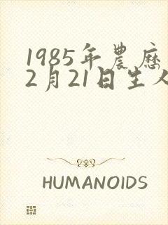 1985年农历2月21日生人的命运