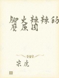 脚火辣辣的是什么原因