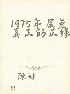 1975年属兔真正的正缘在二婚