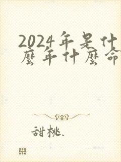 2024年是什么年什么命什么属性封面