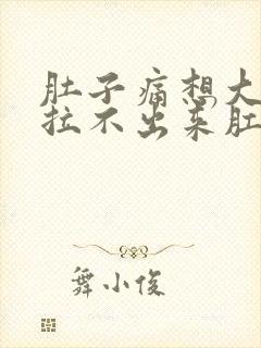 肚子痛想大便又拉不出来肛门坠胀