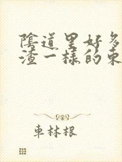 阴道里好多豆腐渣一样的东西