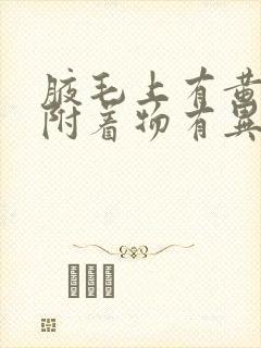 腋毛上有黄黄的附着物有异味