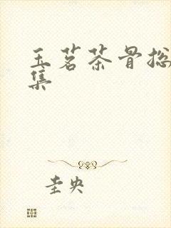 玉茗茶骨总共几集