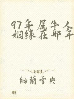 97年属牛人的姻缘在哪年