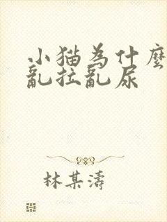 小猫为什么突然乱拉乱尿封面