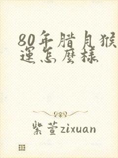 80年腊月猴命运怎么样