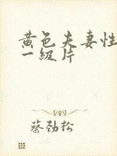 黄色夫妻性生活一级片封面