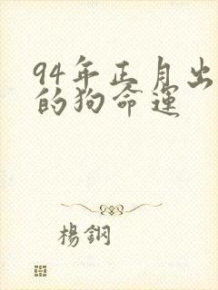 94年正月出生的狗命运