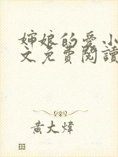 婶娘的爱小说全文免费阅读