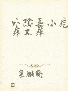 外阴长小疙瘩又疼又痒