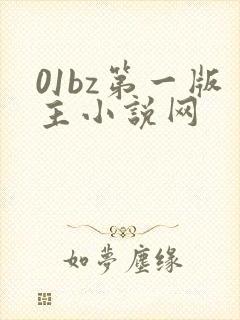 01bz第一版主小说网封面