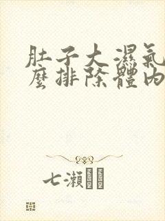 肚子大湿气重怎么排除体内湿气