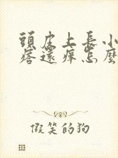 头皮上长小红疙瘩还痒怎么回事