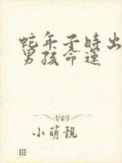 蛇年子时出生的男孩命运