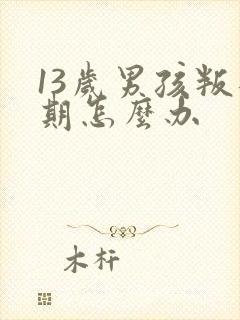 13岁男孩叛逆期怎么办封面